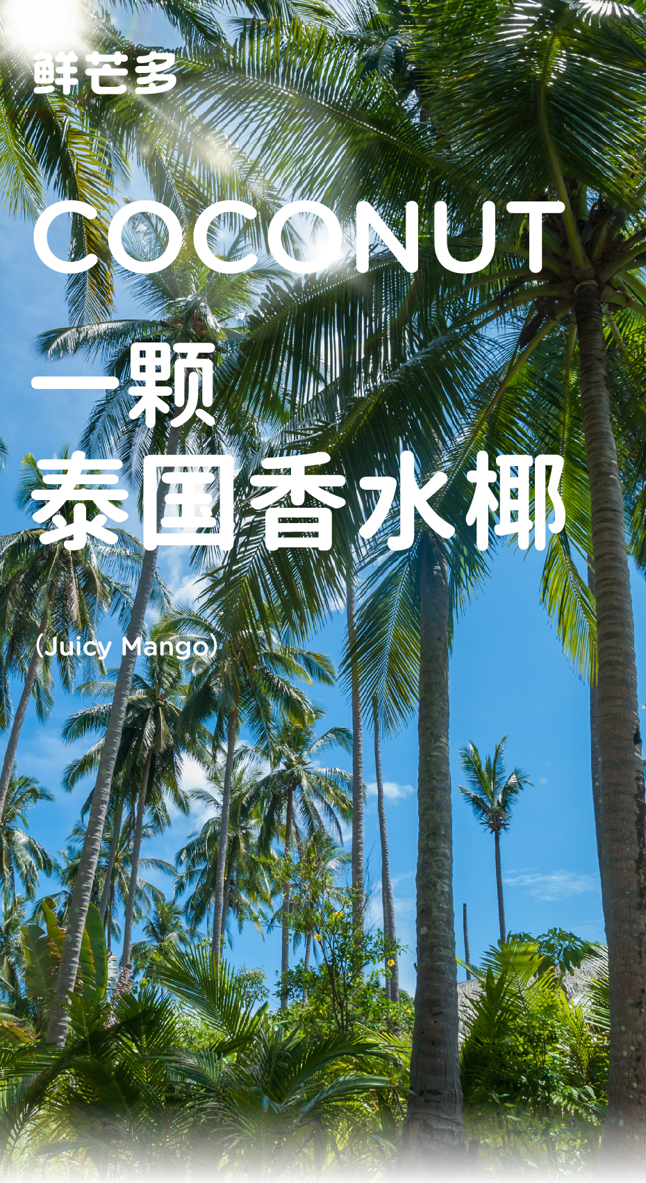 龙眼_画板 1.jpg